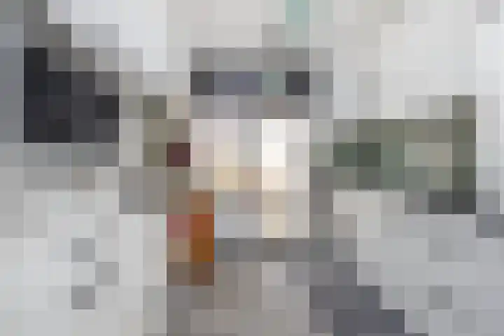 Merelstraat 10 Geleen thumbnail 11