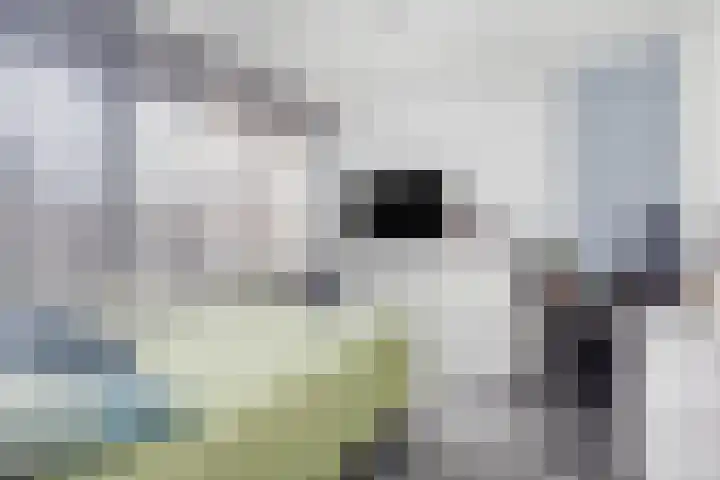 Merelstraat 10 Geleen thumbnail 16