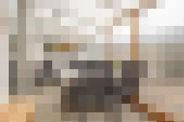 Merelstraat 10 Geleen thumbnail 20