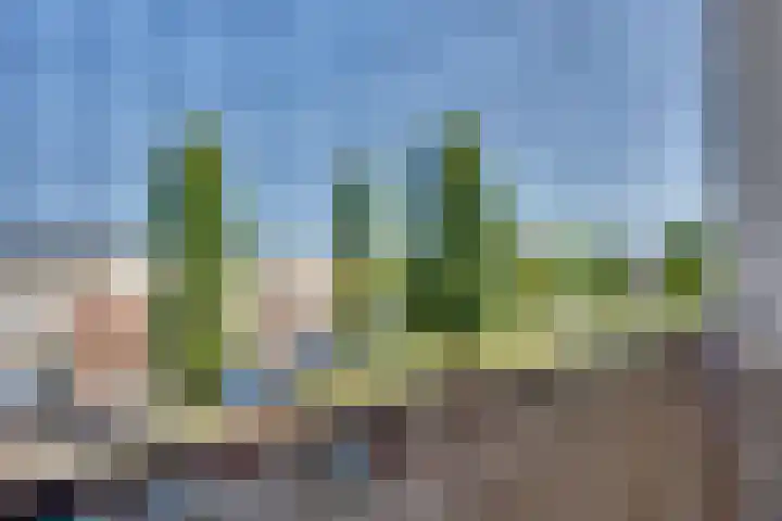 Merelstraat 10 Geleen thumbnail 25