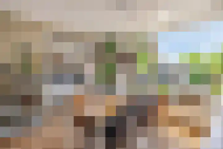 Merelstraat 15 Beek thumbnail 10