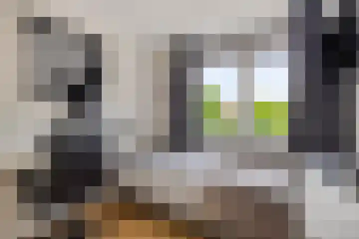 Merelstraat 15 Beek thumbnail 20