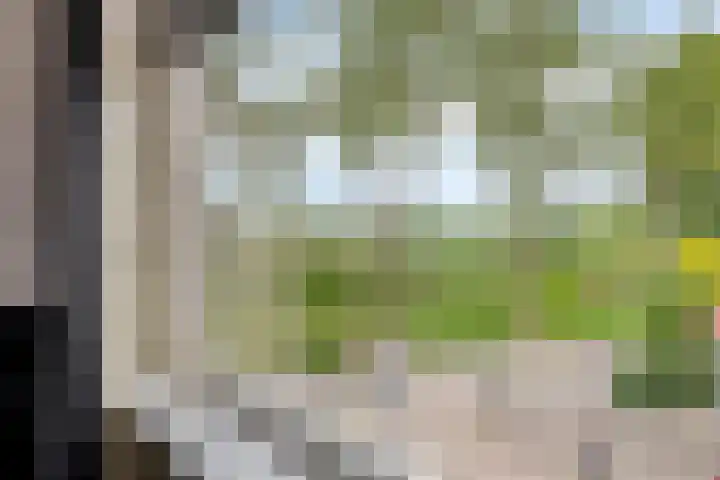 Merelstraat 15 Beek thumbnail 22