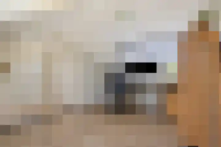 Merelstraat 15 Beek thumbnail 27