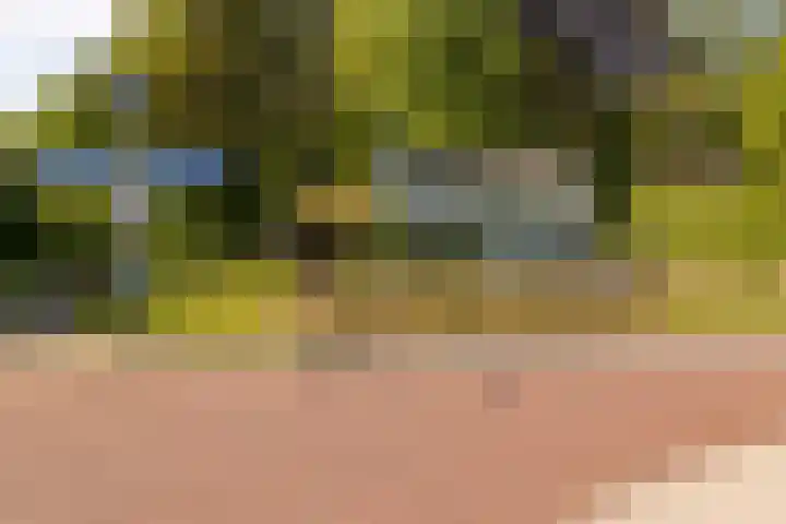 Merelstraat 15 Beek thumbnail 35