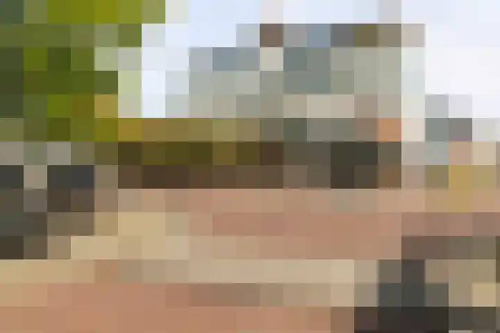 Merelstraat 15 Beek thumbnail 37