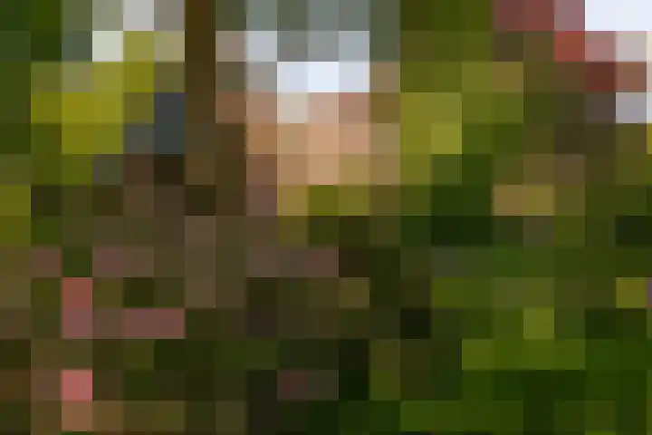 Merelstraat 15 Beek thumbnail 38