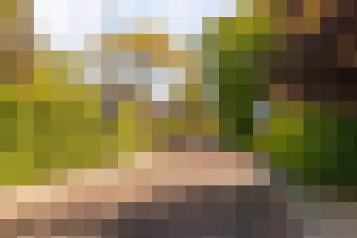 Merelstraat 15 Beek thumbnail 39