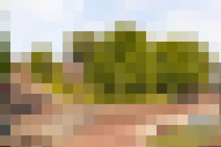 Merelstraat 15 Beek thumbnail 41