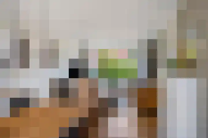 Merelstraat 15 Beek thumbnail 7