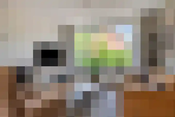 Merelstraat 15 Beek thumbnail 8