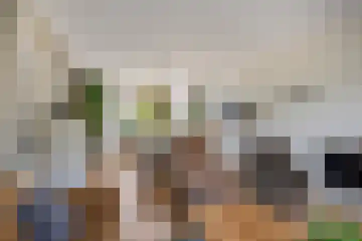 Merelstraat 15 Beek thumbnail 9