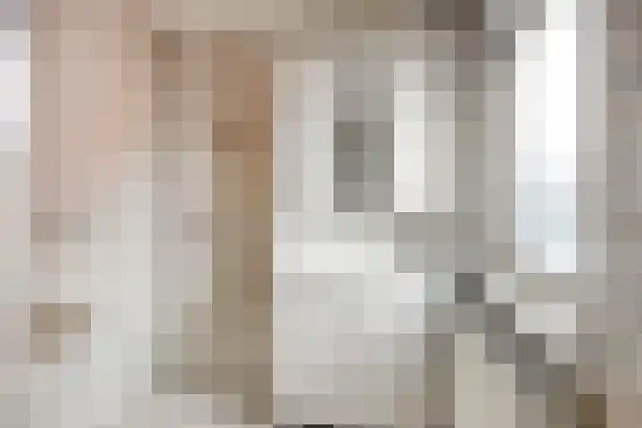 Merelstraat 17 de Lutte thumbnail 15