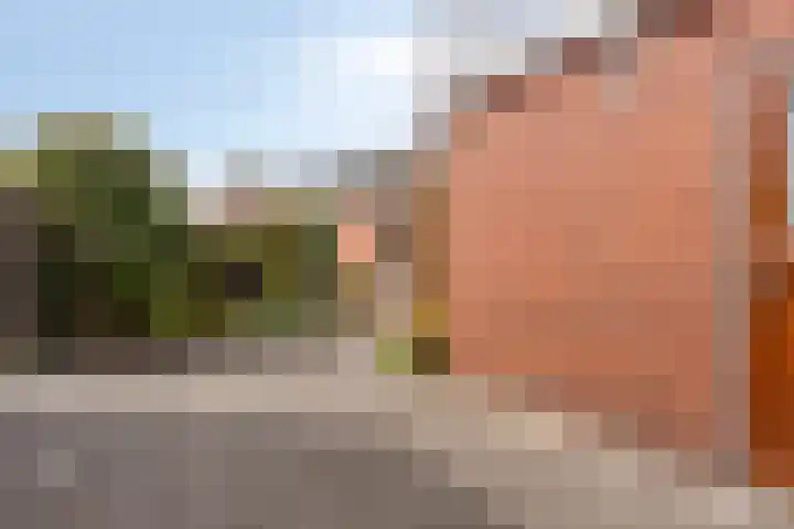 Merelstraat 17 de Lutte thumbnail 20