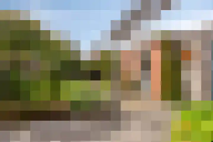 Merelstraat 17 de Lutte thumbnail 21