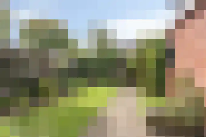 Merelstraat 17 de Lutte thumbnail 22