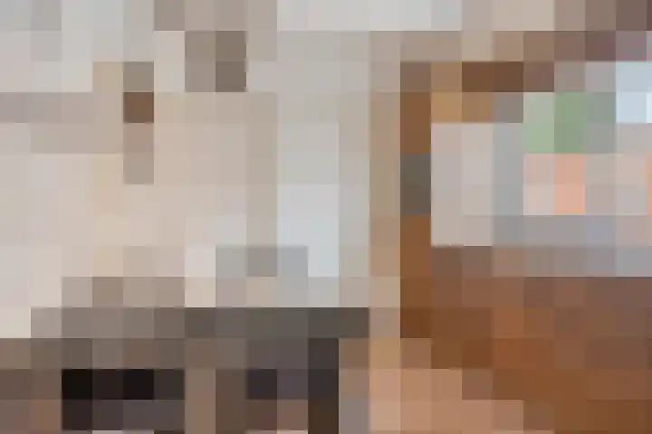 Merelstraat 17 de Lutte thumbnail 6