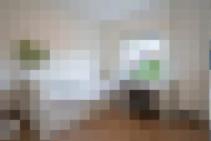 Merelstraat 23 Breda thumbnail 21