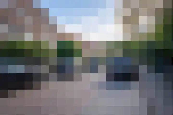 Merelstraat 23 Breda thumbnail 34