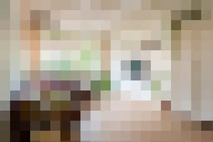 Merelstraat 23 Breda thumbnail 9