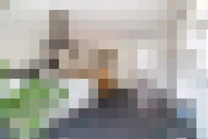 Merelstraat 32 Breda thumbnail 15