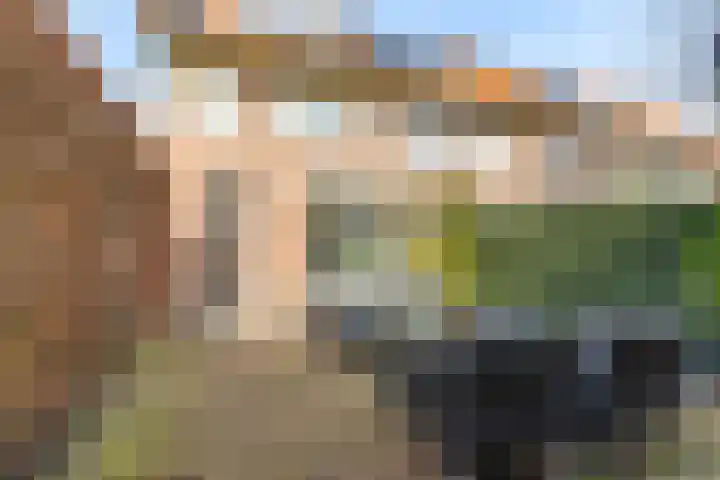 Merelstraat 32 Breda thumbnail 4