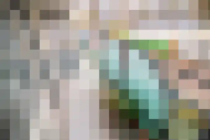 Merelstraat 4 Leiderdorp thumbnail 7