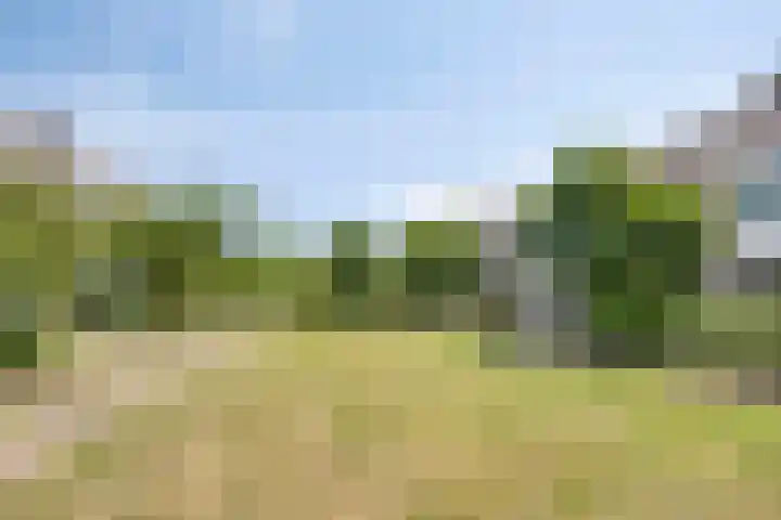 Merelstraat 6 Lopik thumbnail 15