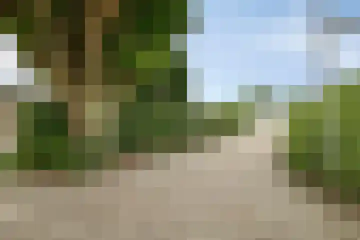 Merelstraat 6 Lopik thumbnail 24