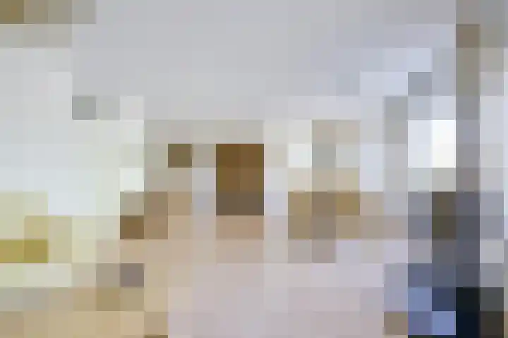 Merelstraat 60 Utrecht thumbnail 9