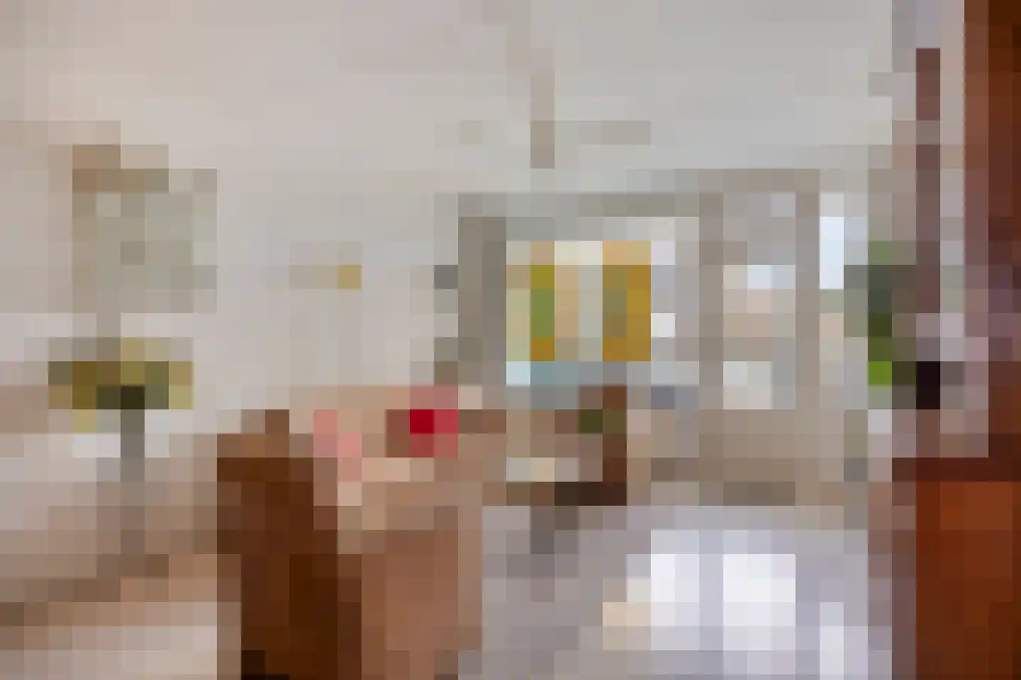 Merelstraat 82 Leiderdorp thumbnail 12