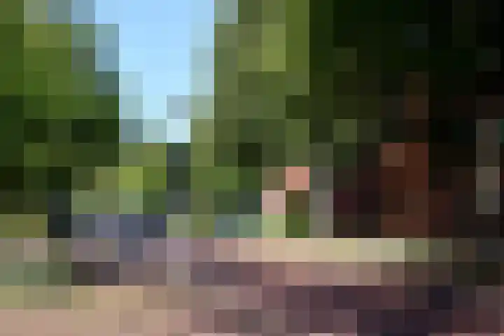 Merelstraat 89 Groningen thumbnail 35