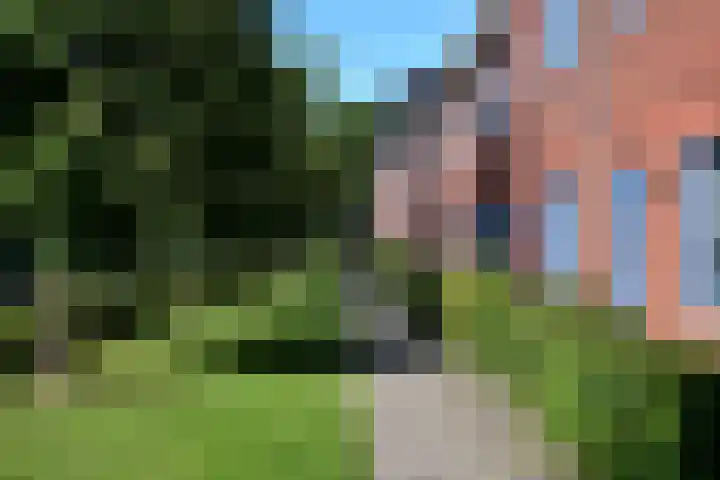 Merelstraat 89 Groningen thumbnail 36
