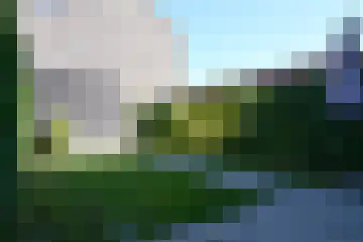 Merelstraat 89 Groningen thumbnail 9