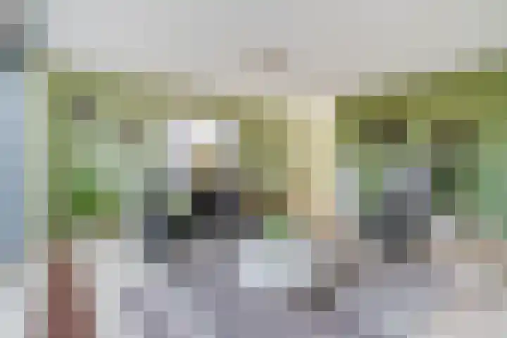 Merelweg 2 Culemborg thumbnail 10