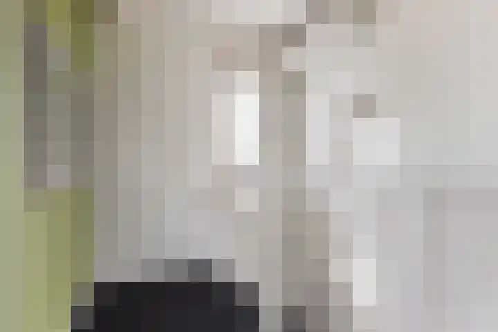 Merelweg 2 Culemborg thumbnail 16