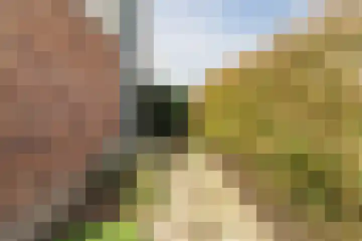 Merelweg 2 Culemborg thumbnail 32