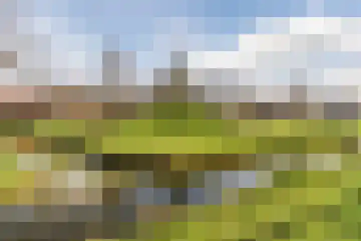 Merelweg 2 Culemborg thumbnail 34