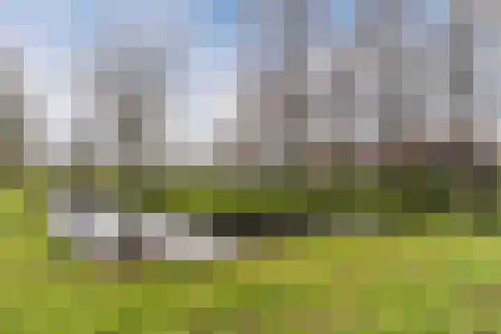 Merelweg 2 Culemborg thumbnail 35