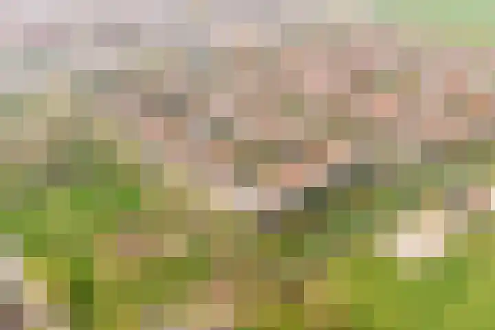 Merelweg 2 Culemborg thumbnail 38