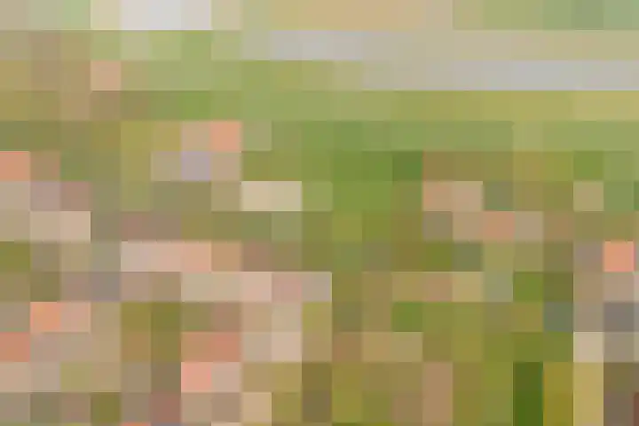 Merelweg 2 Culemborg thumbnail 4