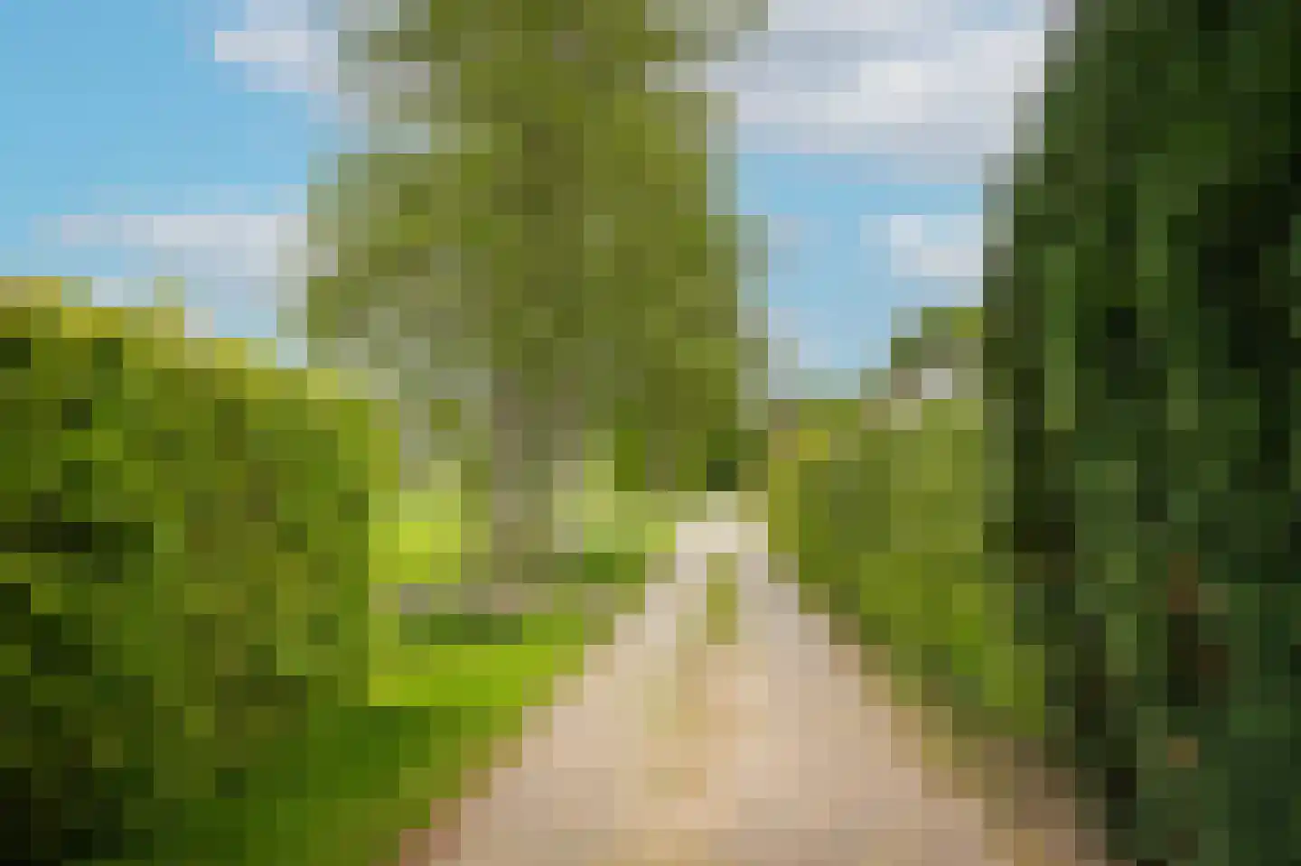 Merelweg 2 Culemborg thumbnail 41