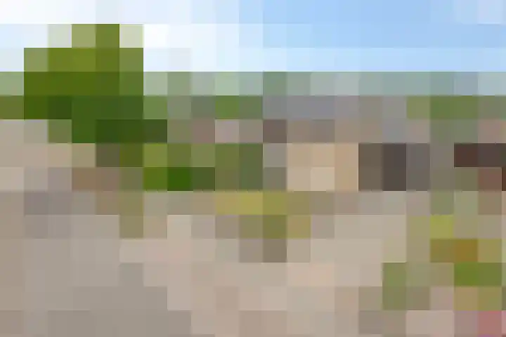 Merelweg 9 Mill thumbnail 5