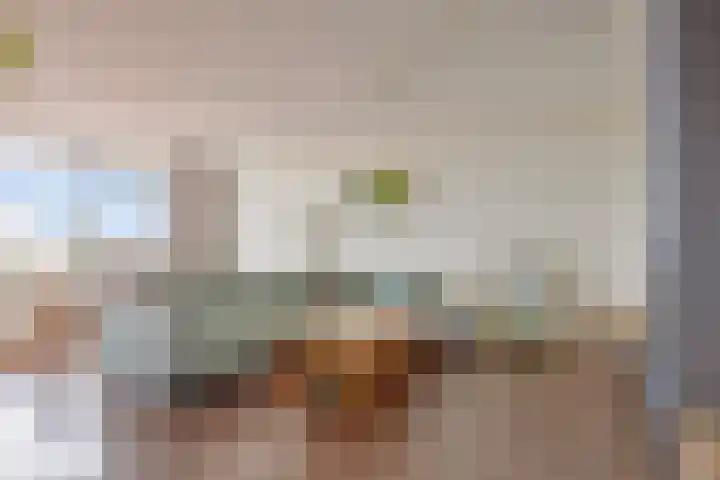 Merendonk 119 Leiden thumbnail 16