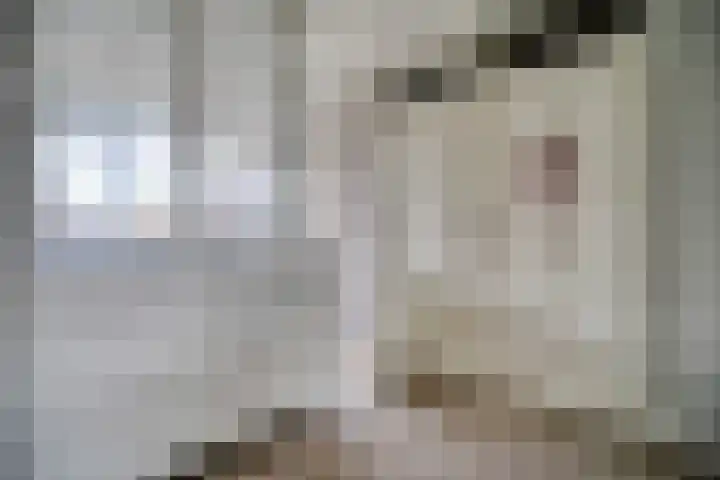 Merendonk 43 Leiden thumbnail 19