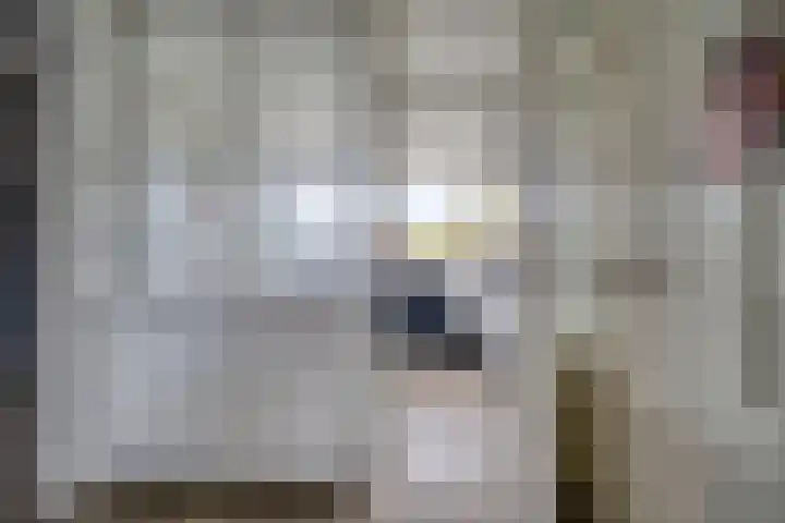 Merendonk 43 Leiden thumbnail 20