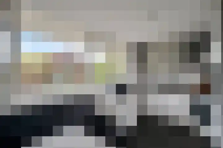 Merendonk 43 Leiden thumbnail 21