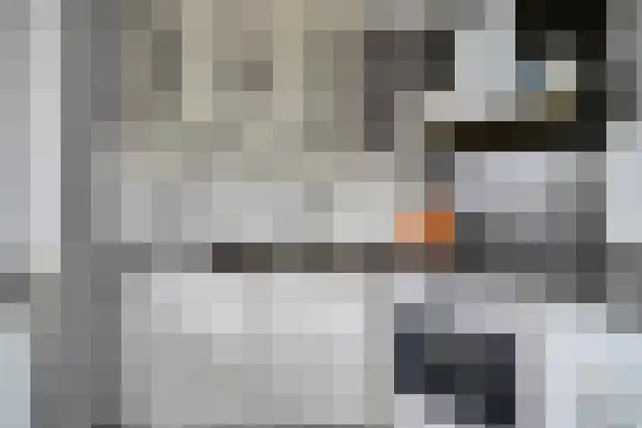 Merendonk 43 Leiden thumbnail 23