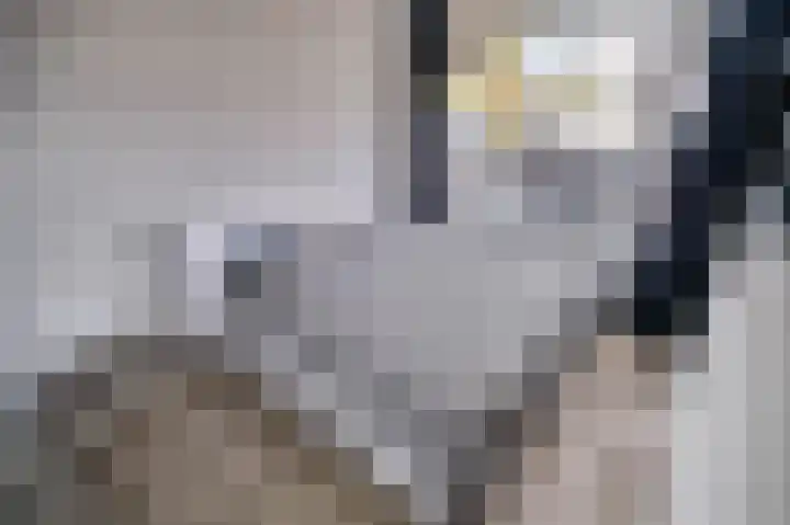 Merendonk 43 Leiden thumbnail 26