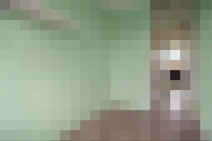Merendonk 43 Leiden thumbnail 32